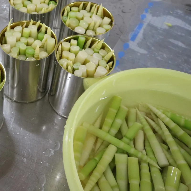 完成したたけのこの缶詰