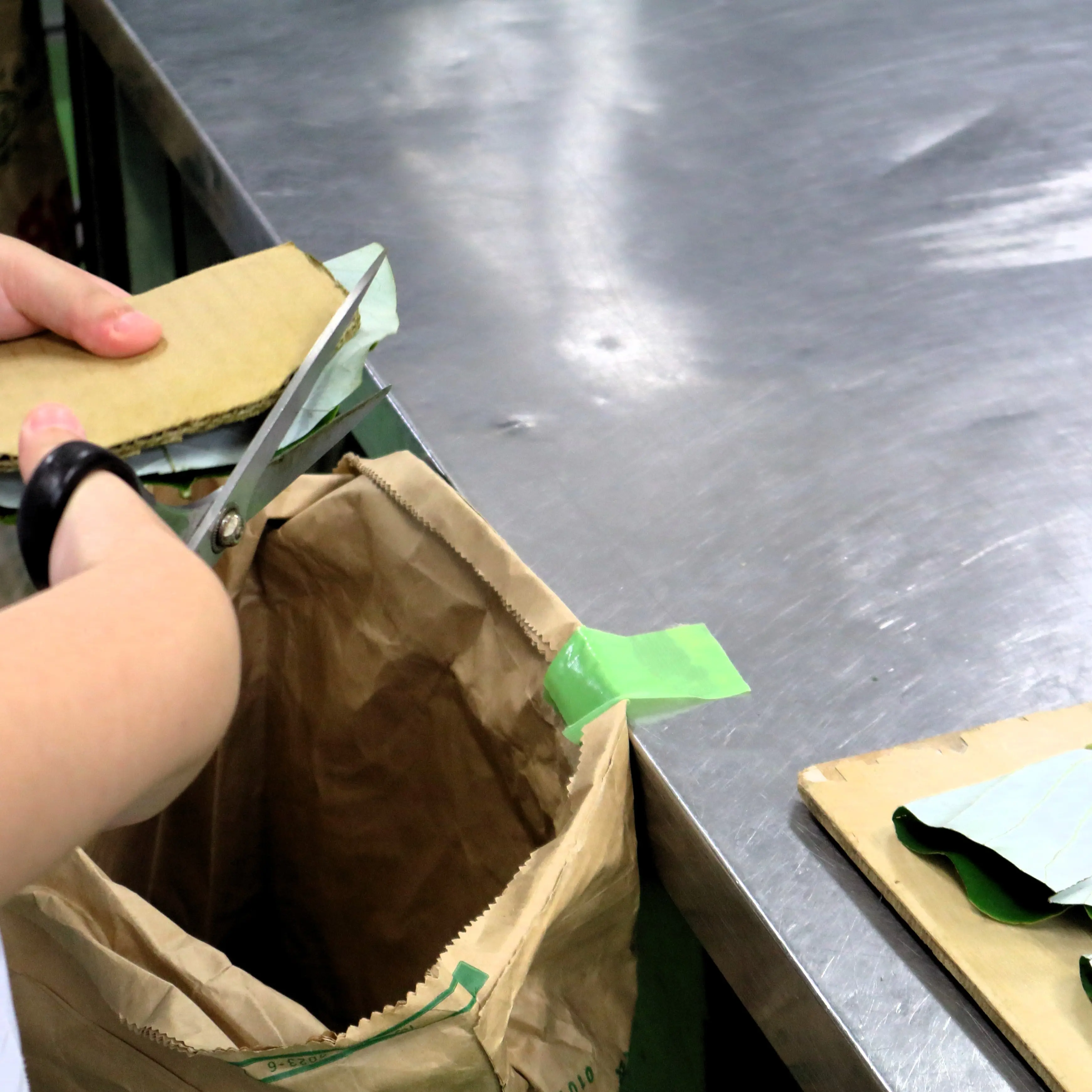 朴葉の葉を切る