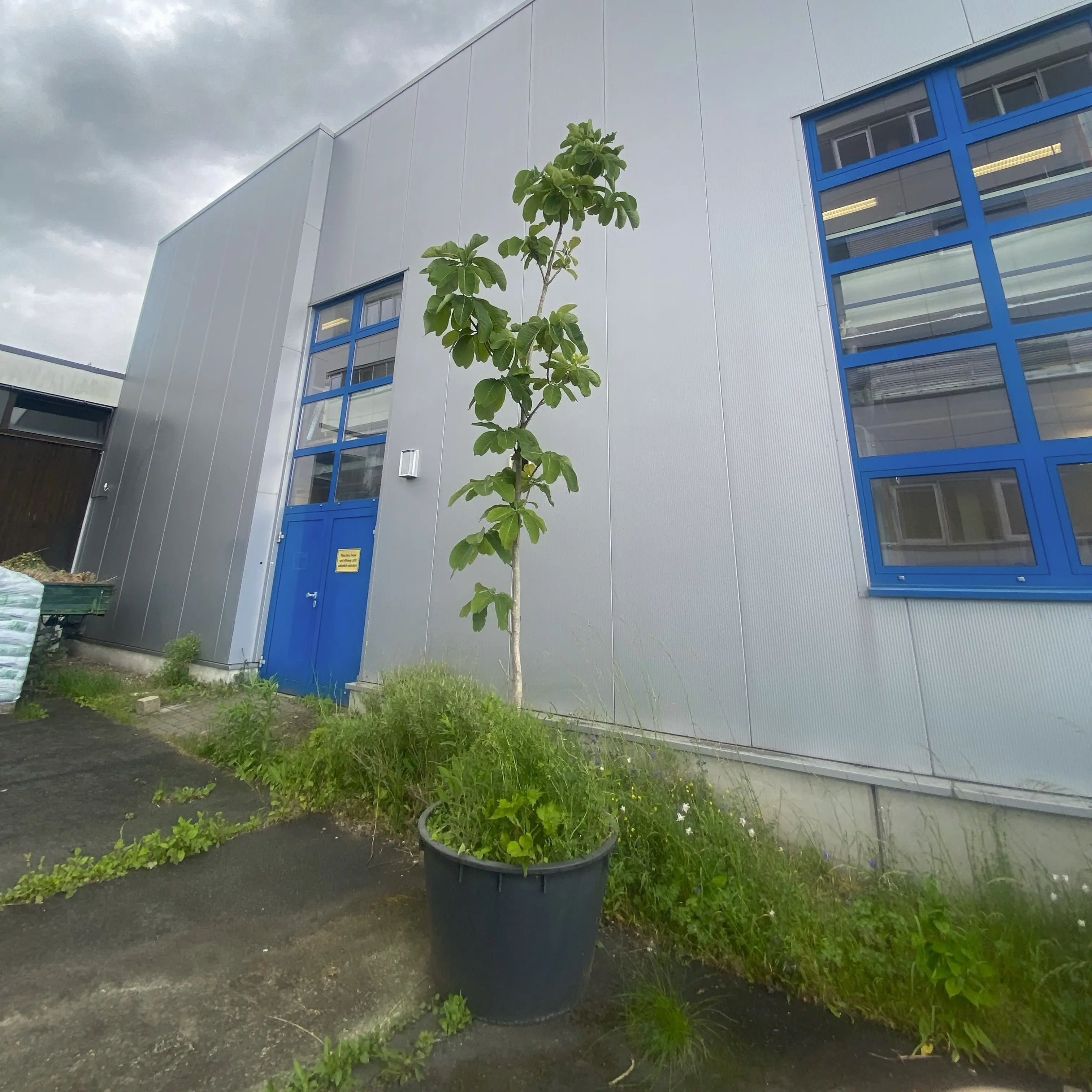 土壌管理の様子