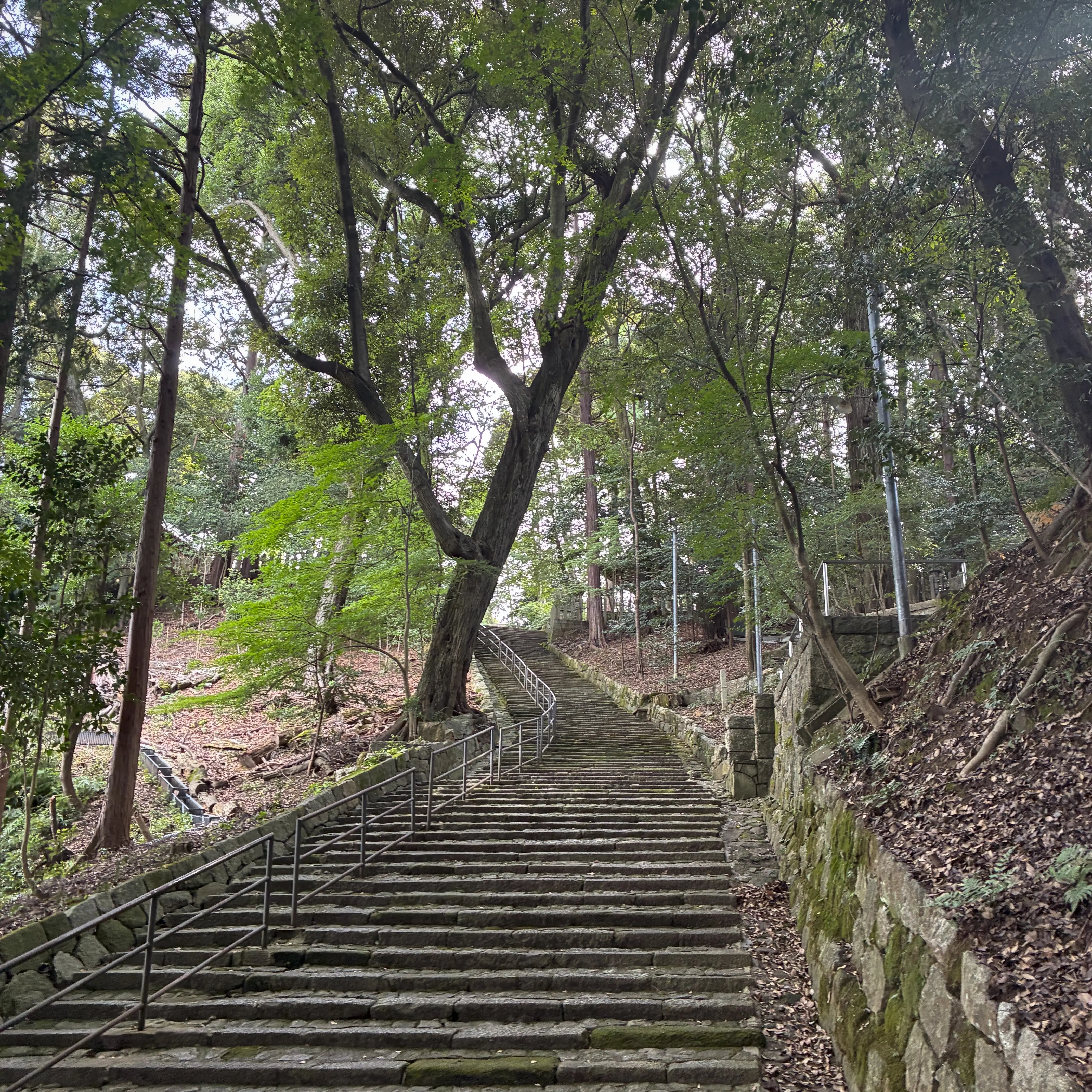 境内の階段