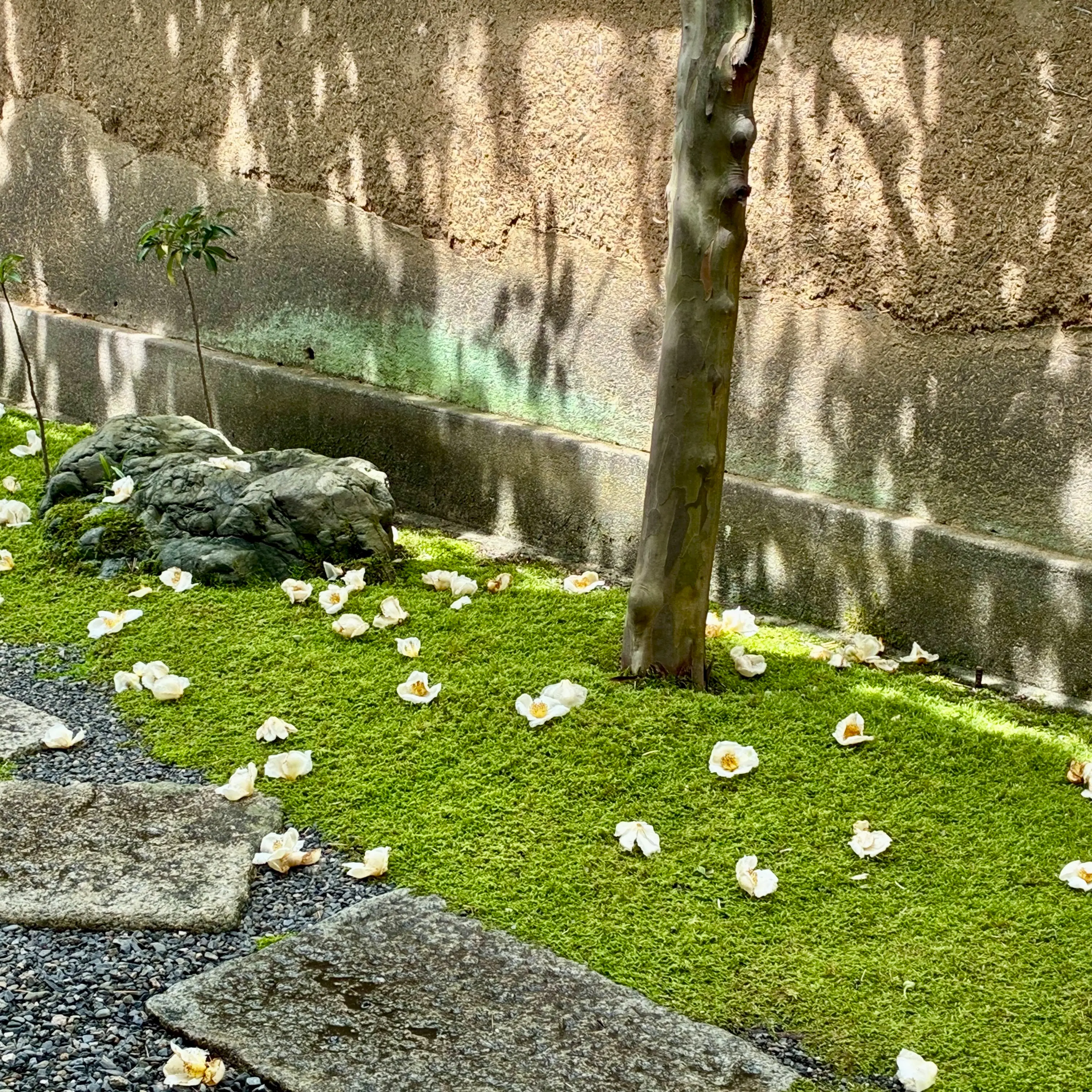 東林院